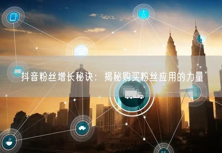 抖音粉丝增长秘诀：揭秘购买粉丝应用的力量