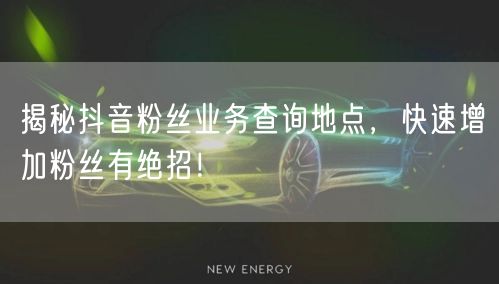 揭秘抖音粉丝业务查询地点，快速增加粉丝有绝招！