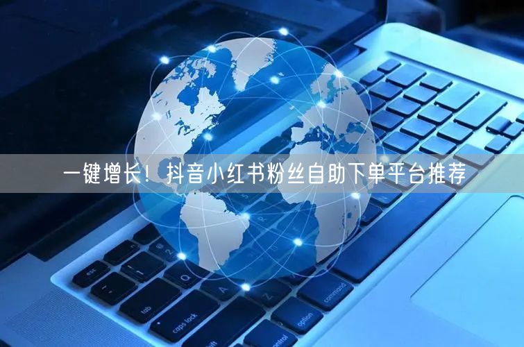 一键增长!抖音小红书粉丝自助下单平台推荐