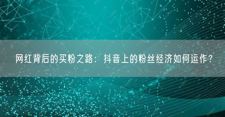 网红背后的买粉之路:抖音上的粉丝经济如何运作?