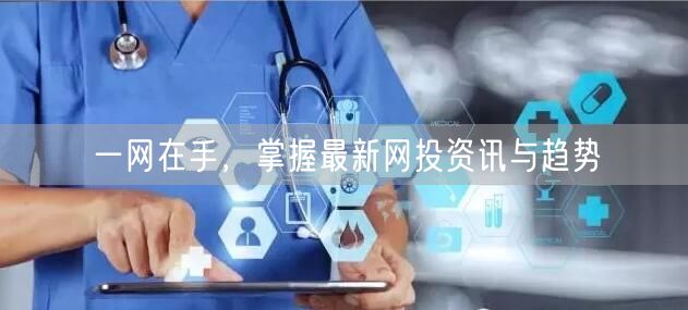 一网在手，掌握最新网投资讯与趋势