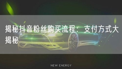 揭秘抖音粉丝购买流程：支付方式大揭秘