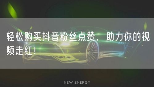 轻松购买抖音粉丝点赞，助力你的视频走红！