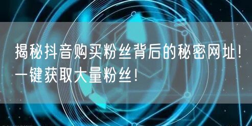 揭秘抖音购买粉丝背后的秘密网址！一键获取大量粉丝！