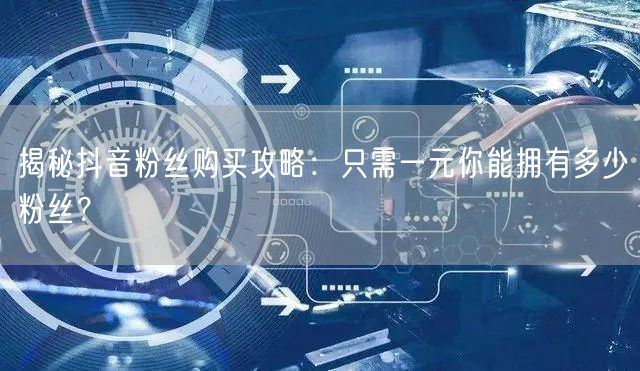 揭秘抖音粉丝购买攻略:只需一元你能拥有多少粉丝?
