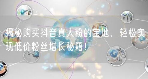 揭秘购买抖音真人粉的宝地,轻松实现低价粉丝增长秘籍!