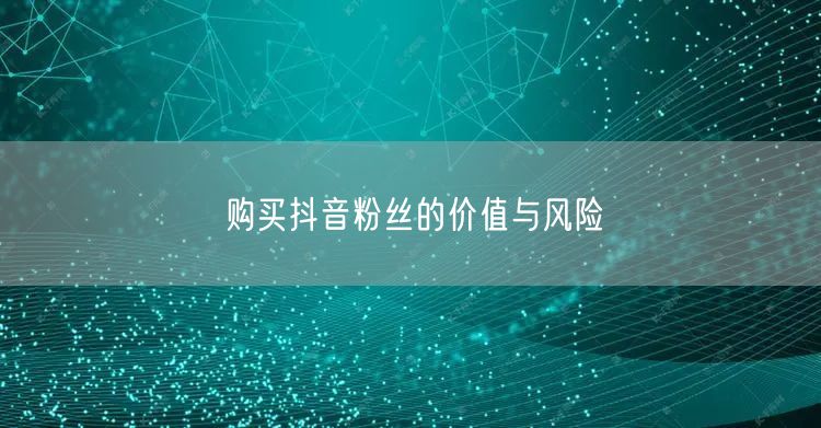 购买抖音粉丝的价值与风险