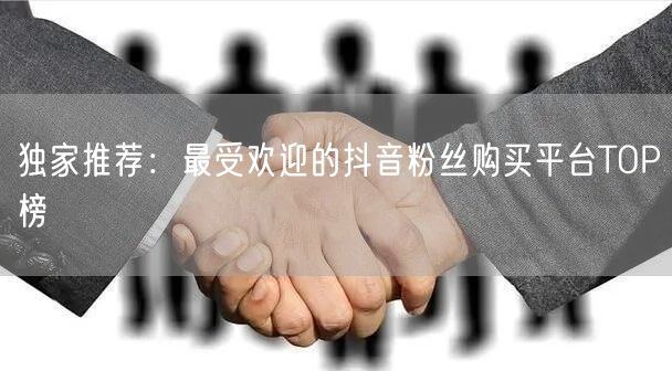 独家推荐：最受欢迎的抖音粉丝购买平台TOP榜