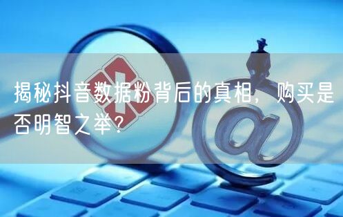 揭秘抖音数据粉背后的真相，购买是否明智之举？