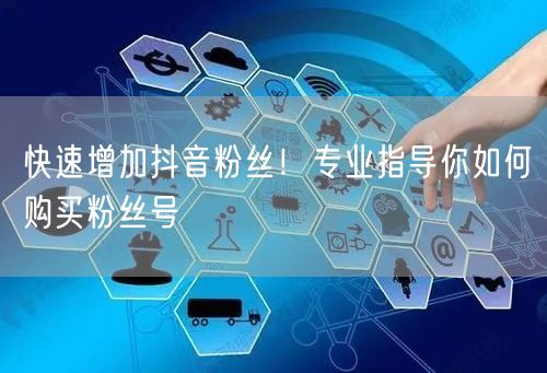 快速增加抖音粉丝！专业指导你如何购买粉丝号
