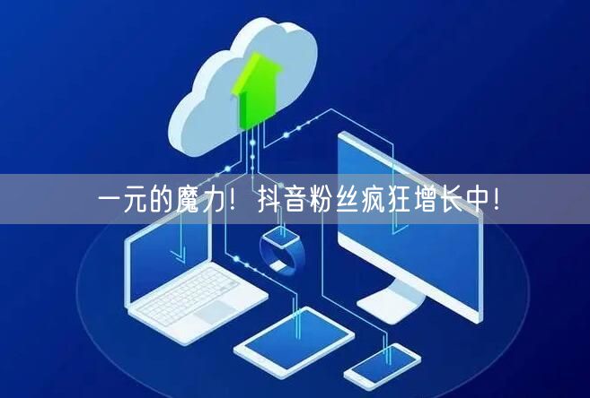 一元的魔力！抖音粉丝疯狂增长中！
