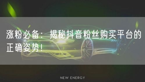 涨粉必备：揭秘抖音粉丝购买平台的正确姿势！
