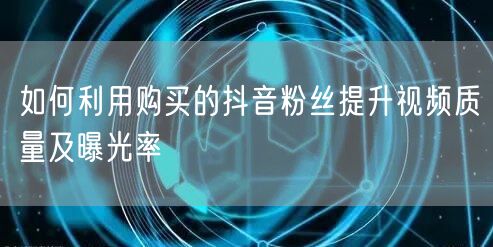 如何利用购买的抖音粉丝提升视频质量及曝光率