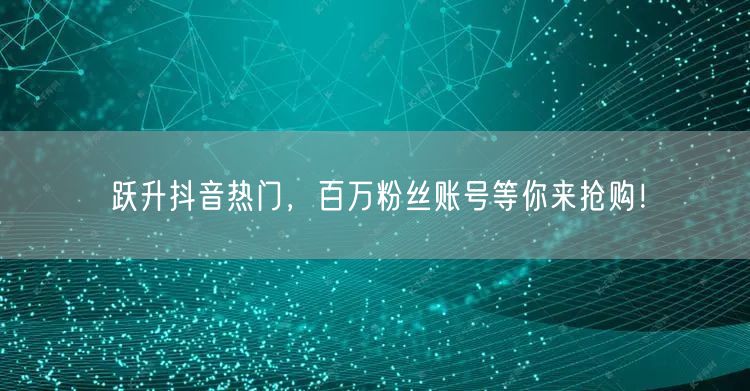 跃升抖音热门，百万粉丝账号等你来抢购！