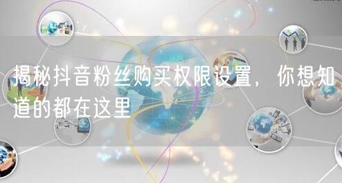 揭秘抖音粉丝购买权限设置，你想知道的都在这里