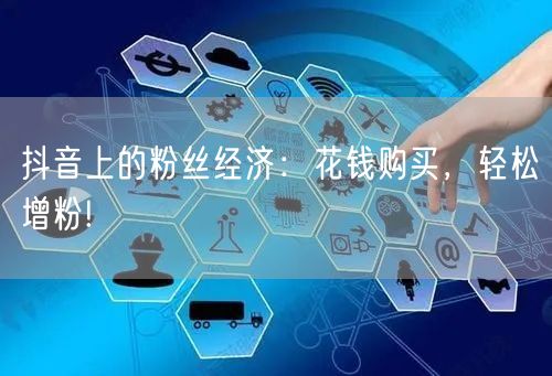 抖音上的粉丝经济：花钱购买，轻松增粉!