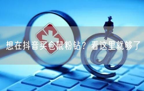 想在抖音买仓鼠粉钻？看这里就够了