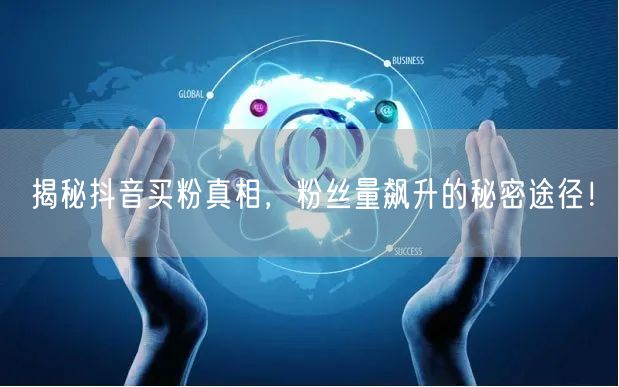 揭秘抖音买粉真相，粉丝量飙升的秘密途径！