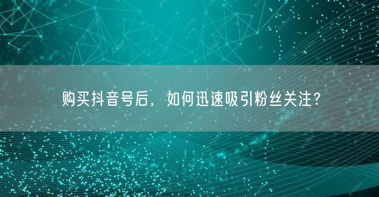 购买抖音号后，如何迅速吸引粉丝关注？