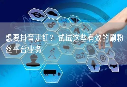想要抖音走红？试试这些有效的刷粉丝平台业务