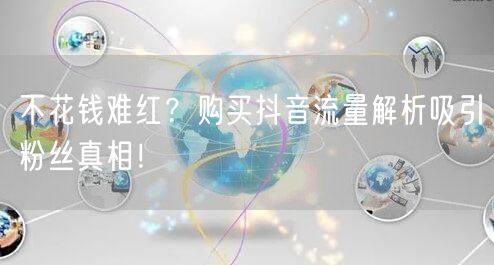 不花钱难红？购买抖音流量解析吸引粉丝真相！