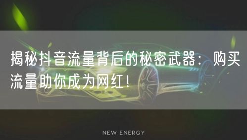 揭秘抖音流量背后的秘密武器：购买流量助你成为网红！