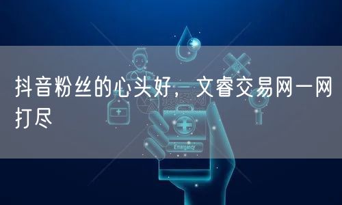 抖音粉丝的心头好，文睿交易网一网打尽