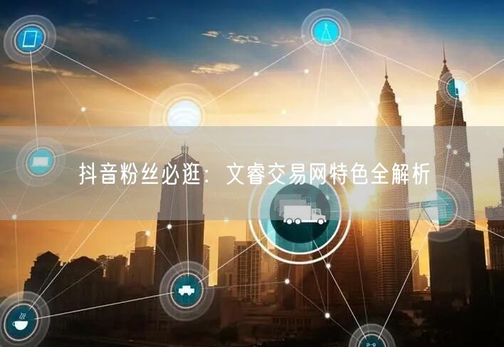 抖音粉丝必逛：文睿交易网特色全解析