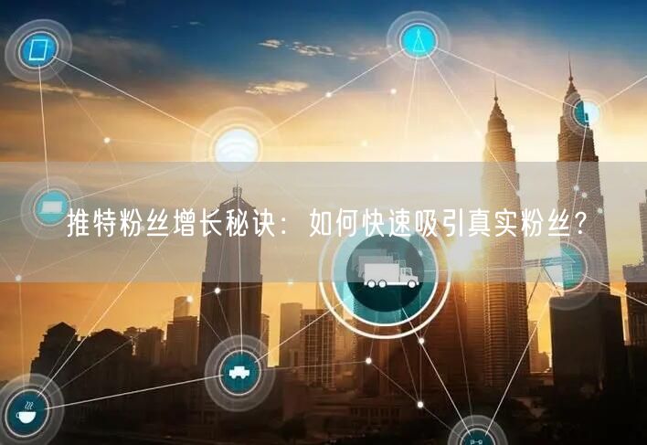 推特粉丝增长秘诀：如何快速吸引真实粉丝？
