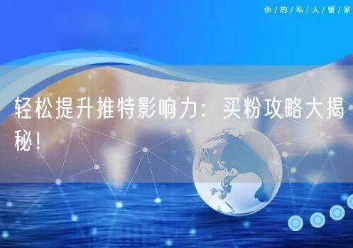 轻松提升推特影响力：买粉攻略大揭秘！