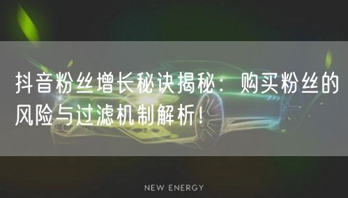 抖音粉丝增长秘诀揭秘：购买粉丝的风险与过滤机制解析！