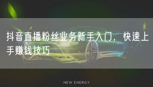 抖音直播粉丝业务新手入门，快速上手赚钱技巧
