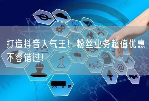 打造抖音人气王！粉丝业务超值优惠不容错过！