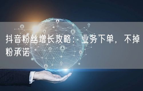 抖音粉丝增长攻略：业务下单，不掉粉承诺