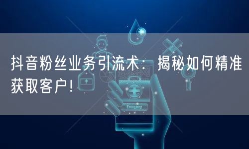 抖音粉丝业务引流术：揭秘如何精准获取客户！