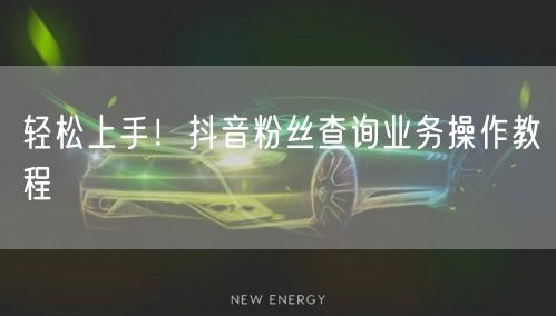 轻松上手！抖音粉丝查询业务操作教程