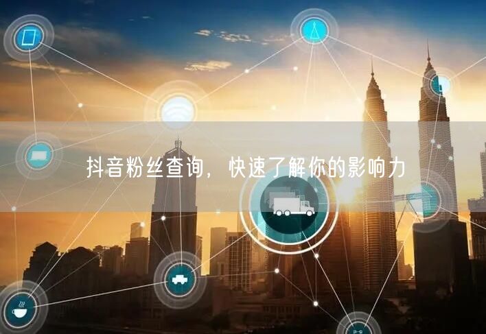 抖音粉丝查询，快速了解你的影响力