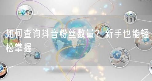 如何查询抖音粉丝数量？新手也能轻松掌握