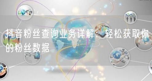 抖音粉丝查询业务详解：轻松获取你的粉丝数据