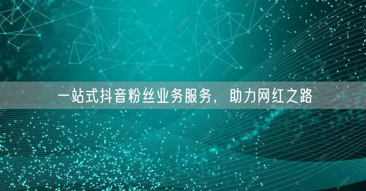 一站式抖音粉丝业务服务，助力网红之路